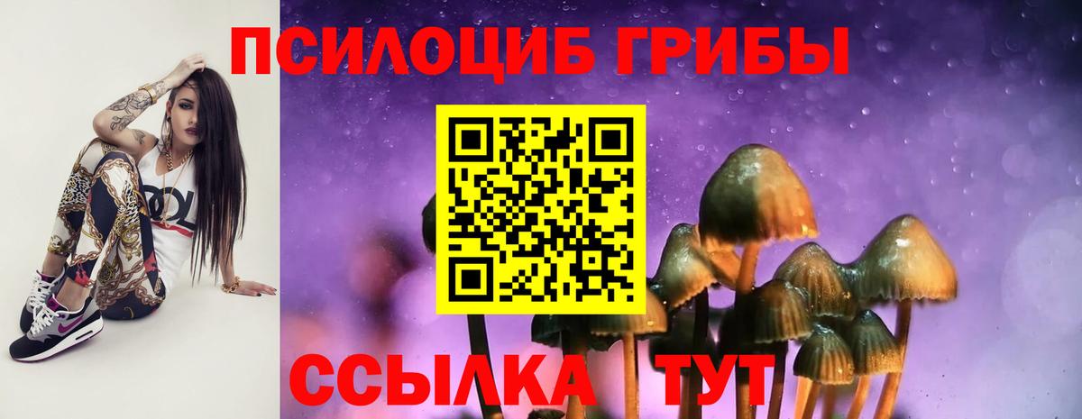 Галлюциногенные грибы Cubensis Керчь